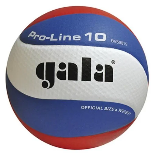М'яч волейбольний Gala Pro-Line 10 BV5581S