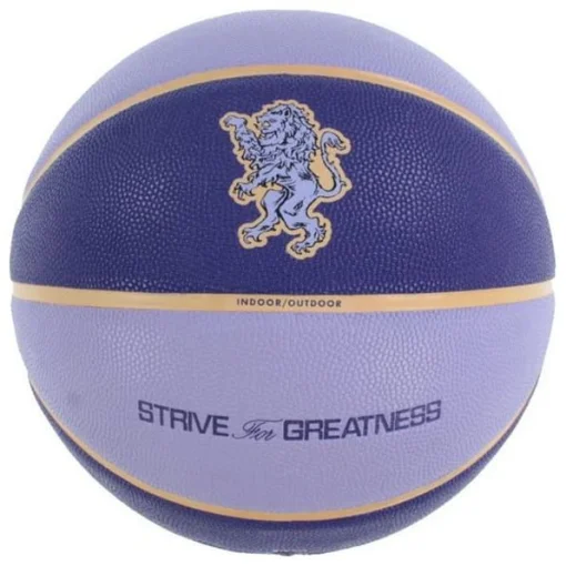 М'яч баскетбольний Nike ALL COURT 2.0 8P L JAMES DEFLATED фіолетовий Уні 7