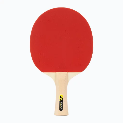 Набір для настільного тенісу JOOLA Family Set (4 ракетки+10 м'ячів+1чохол)