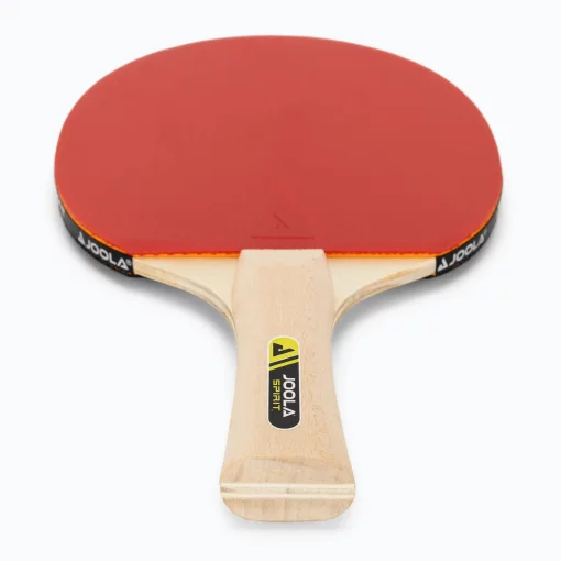 Набір для настільного тенісу JOOLA Family Set (4 ракетки+10 м'ячів+1чохол)