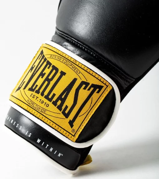Боксерські рукавиці Everlast 1910 CLASSIC TRAINING GLOVE чорний 14 унцій (P00001711)