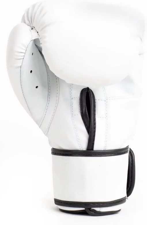 Боксерські рукавиці Everlast CORE 2 TRAINING GLOVE білий S/M (P00002325)