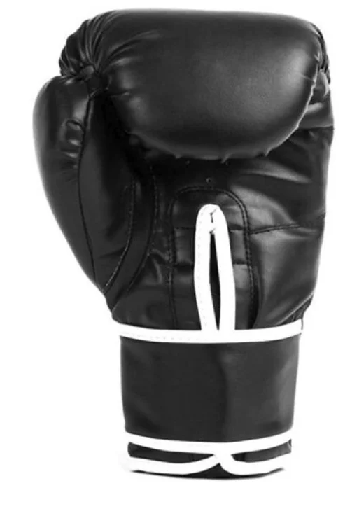 Боксерські рукавиці Everlast CORE 2 TRAINING GLOVE чорний Уні L/XL