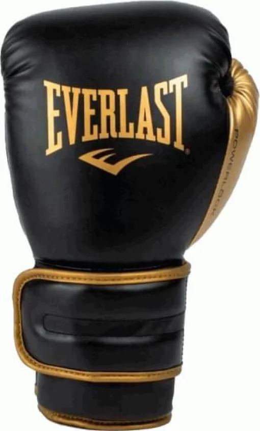 Боксерські рукавиці EVERLAST POWERLOCK 2R TRAINING GLOVE чорний, золотий Уні 16 унцій (P00002665)