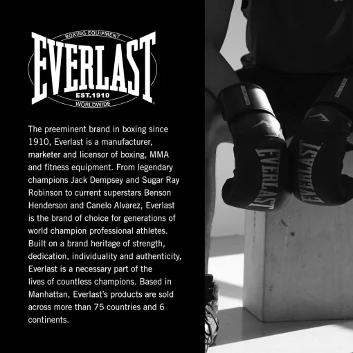 Боксерські рукавиці Everlast PROSTYLE 2 BOXING GLOVE чорний Уні 8 унцій