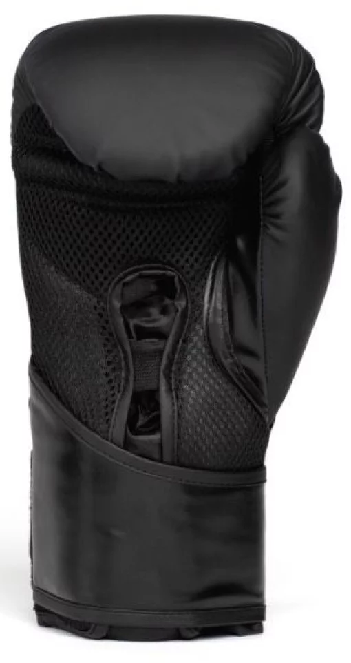 Боксерські рукавиці Everlast ELITE 2 BOXING GLOVES чорний, золотий Уні 10 унцій