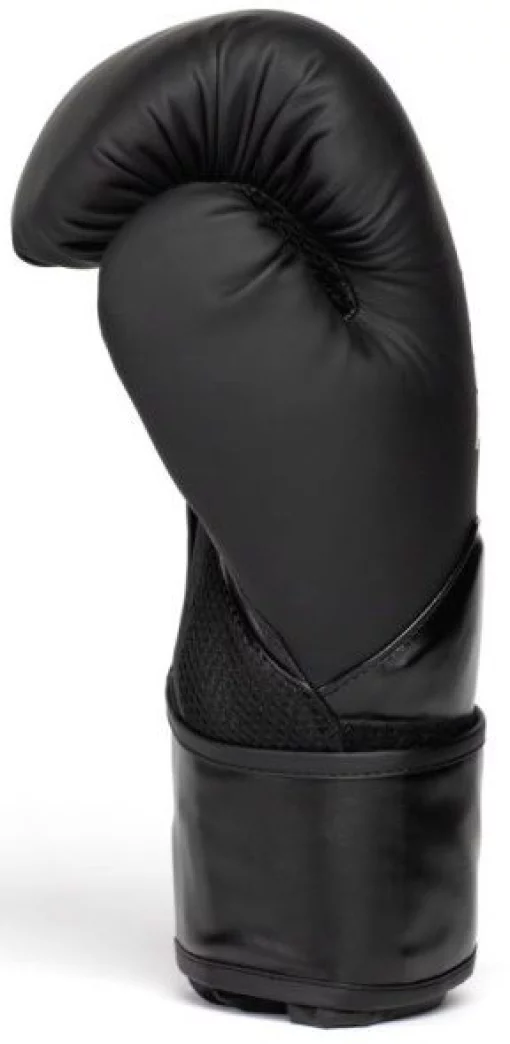 Боксерські рукавиці Everlast ELITE 2 BOXING GLOVES чорний, золотий Уні 16 унцій