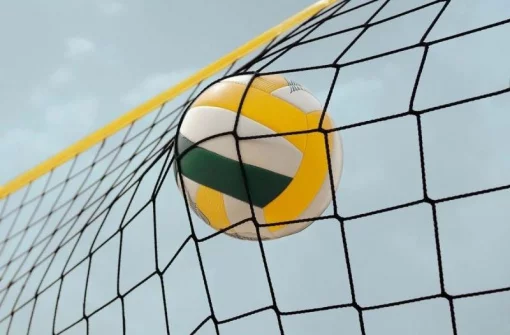 Пяжна волейбольна сітка El Leon De Oro "COMPETITION" (шнур 3-3.5 мм, клітинка 10х10см.)