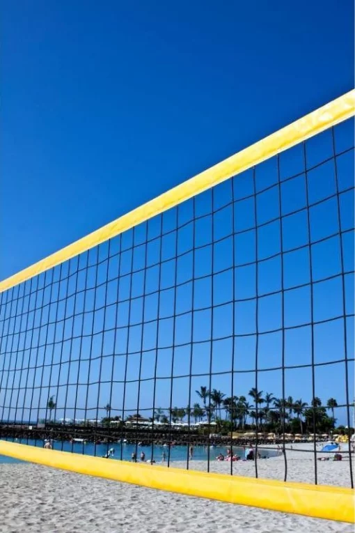 Пяжна волейбольна сітка El Leon De Oro "COMPETITION" (шнур 3-3.5 мм, клітинка 10х10см.)