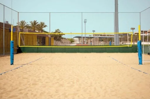 Пяжна волейбольна сітка El Leon De Oro "COMPETITION" (шнур 3-3.5 мм, клітинка 10х10см.)