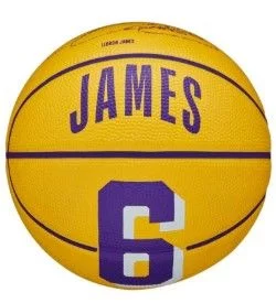 М'яч баскетбольний Wilson NBA PLAYER ICON MINI BSKT LEBRON size 3